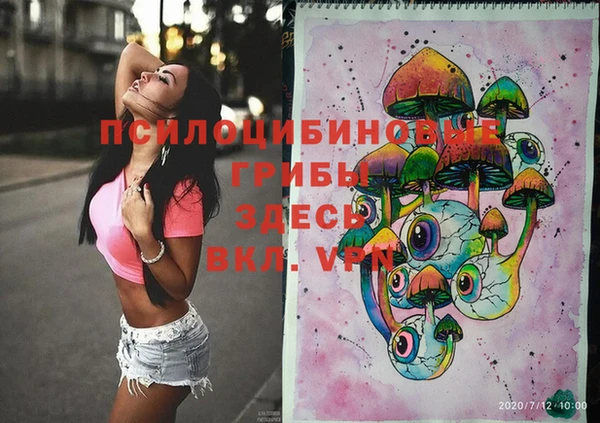 сатива Алексеевка