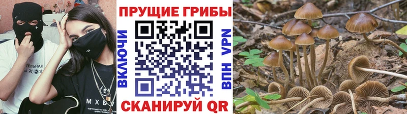 Псилоцибиновые грибы мухоморы  сайты даркнета как зайти  Клин  где найти наркотики 