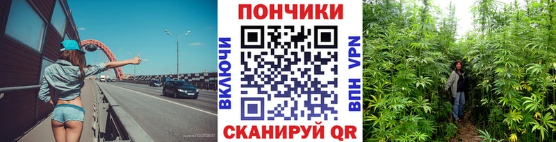 хочу   Клин  МАРИХУАНА семена 